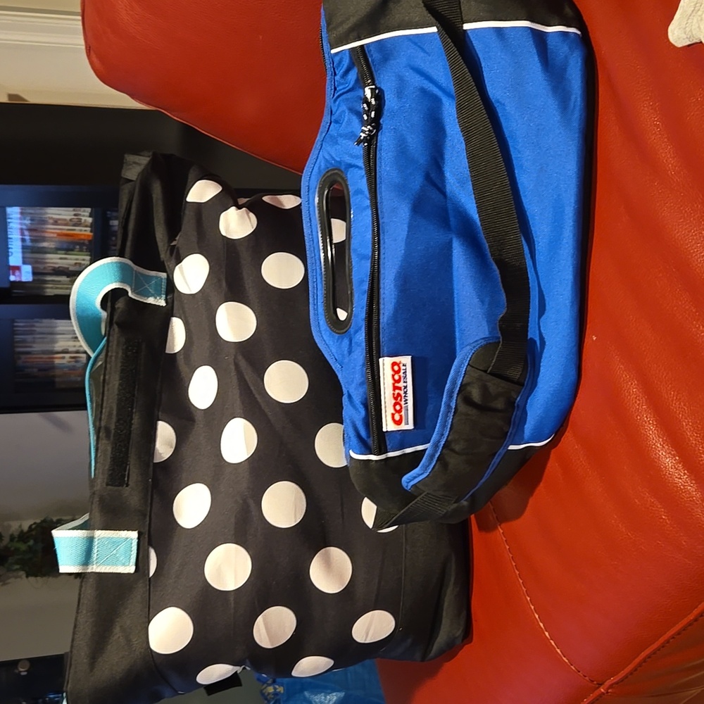 Set of 2 insulated bags